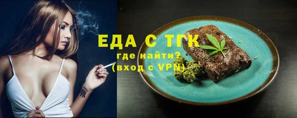 дживик Бородино