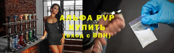 дживик Бородино