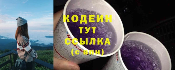 дживик Бородино