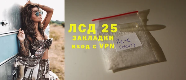 дживик Бородино